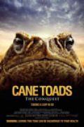 Cane Toads